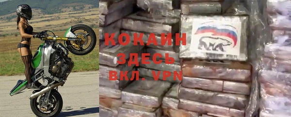 стафф Верея