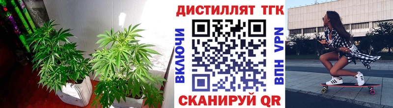 ТГК концентрат  продажа наркотиков  Салават 